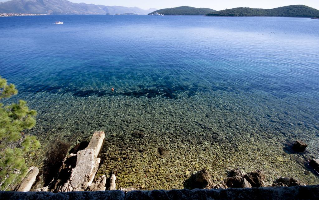 Apartments Tedeschi Korčula Eksteriør billede